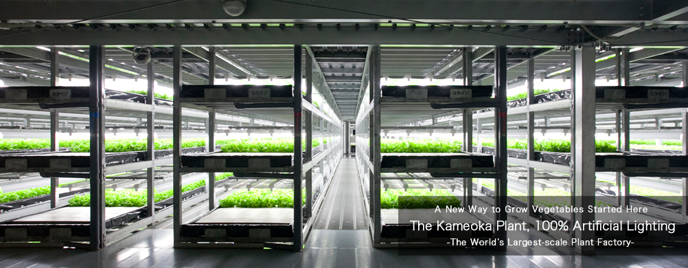 spread_automated_farm_banner