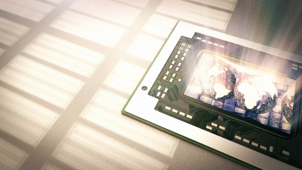 amd-brown-falcon