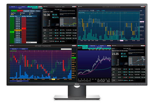P Series Display P4327Q  - Monitor
