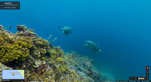 เจ้าเต่า 2 ตัวกำลังเม้ามอยอยู่ที่ Alung Banu ภาพจาก XL Catlin Seaview Survey