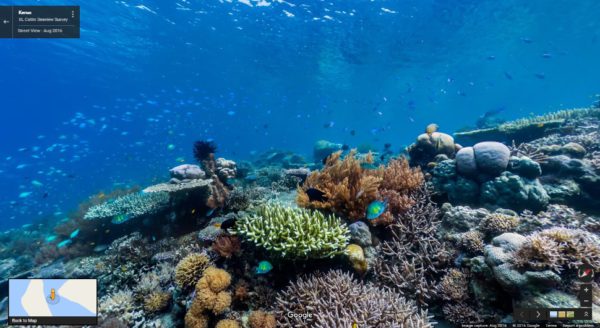 บริเวณแนวปะการังน้ำตื้นของเกาะ Raja Ampat ที่เต็มไปด้วยฝูงปลา ภาพจาก XL Catlin Seaview Survey