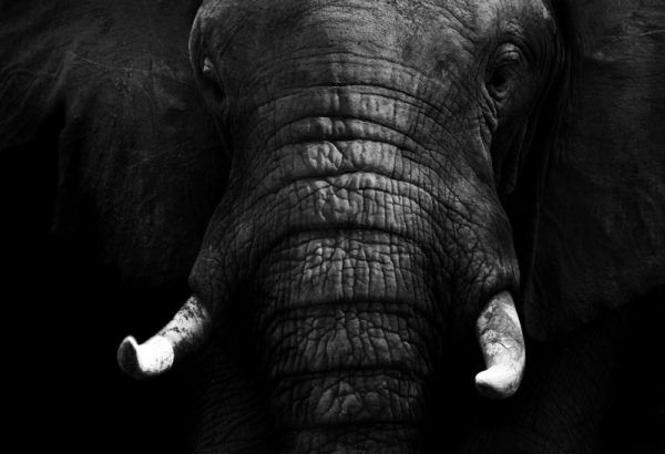 kaspersky-lab-dropping-elephant