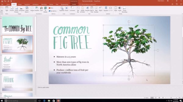 microsoft_office_3d
